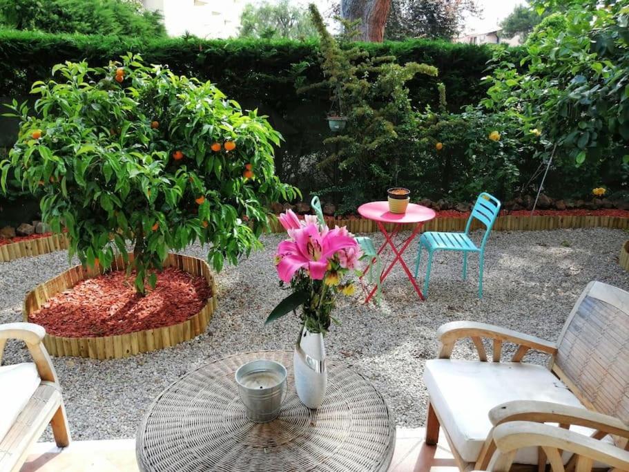 Beauvallon Plage - Magnifique T2 Avec Jardin, Proche Centre, Mer Antibes Zewnętrze zdjęcie